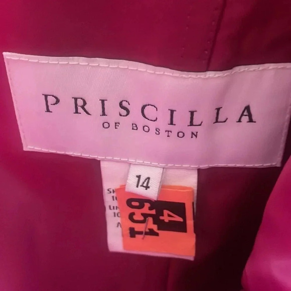 Priscilla of Boston Dress - Picture 3 of 3